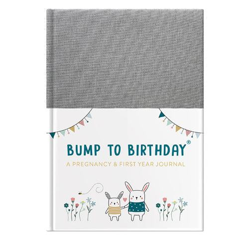 BUMP TO BIRTHDAY A PREGNANCY & FIRST YEAR JOURNAL