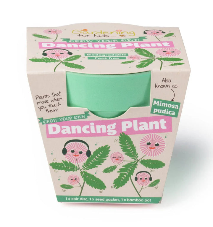 DANCING PLANT GROWING KIT WITH POT