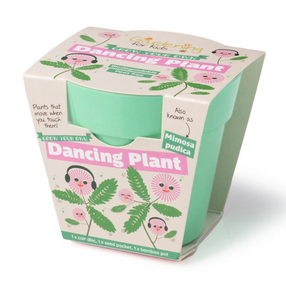 DANCING PLANT GROWING KIT WITH POT