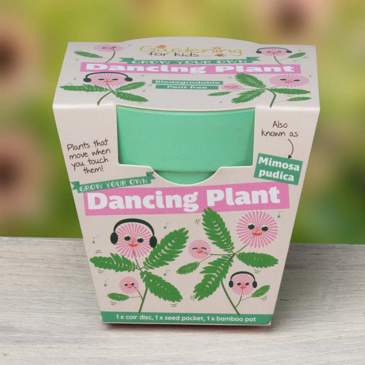 DANCING PLANT GROWING KIT WITH POT