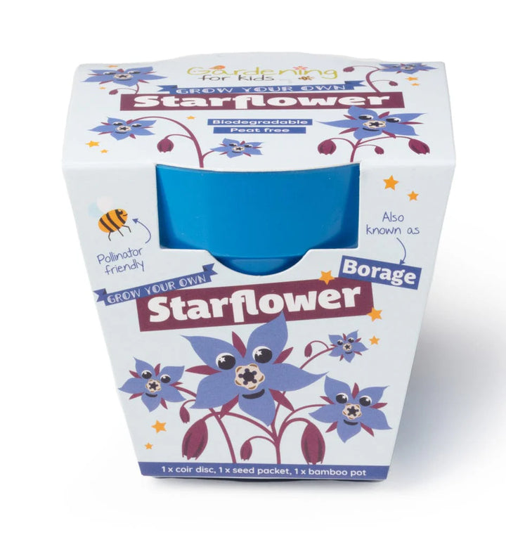 STAR FLOWER GROWING KIT WITH POT