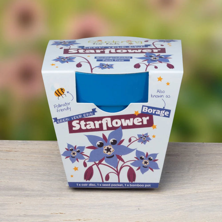 STAR FLOWER GROWING KIT WITH POT