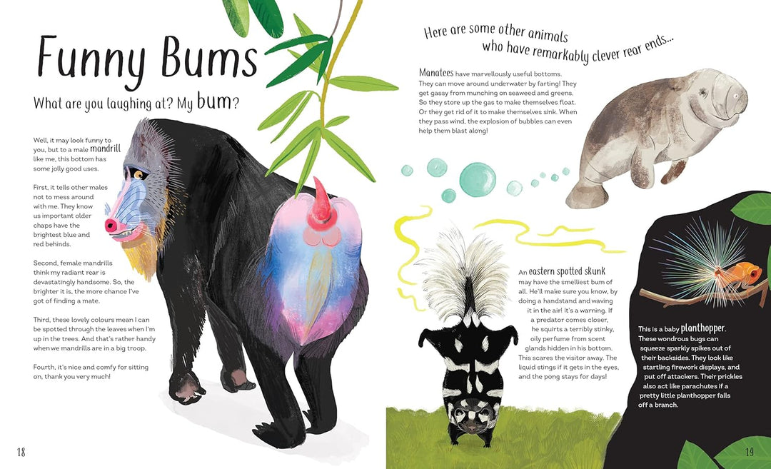 FUNNY BUMS, FREAKY BEAKS AND OTHER INCREDIBLE CREATURE FEATURES BOOK