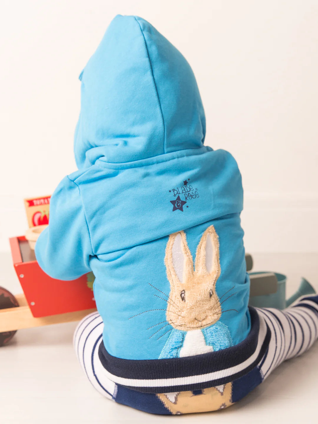 PETER RABBIT BLUE HOODIE