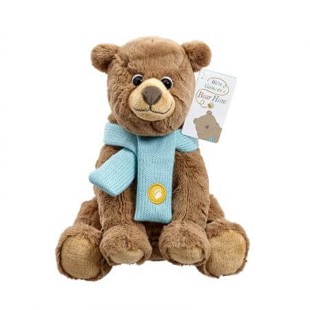 BEAR HUNT SOFT TOY