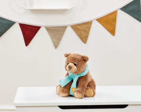 BEAR HUNT SOFT TOY