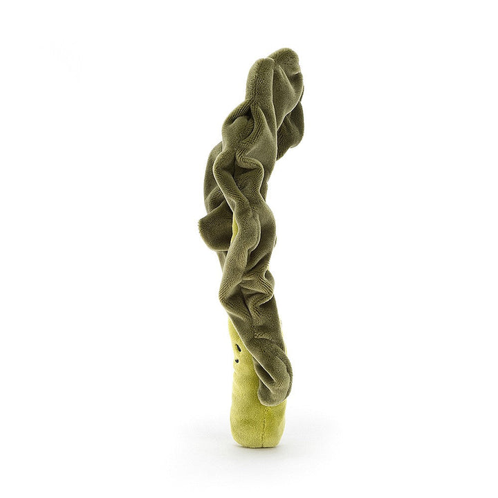 VIVACIOUS VEGETABLE KALE LEAF