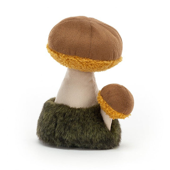 WILD NATURE BOLETUS MUSHROOM