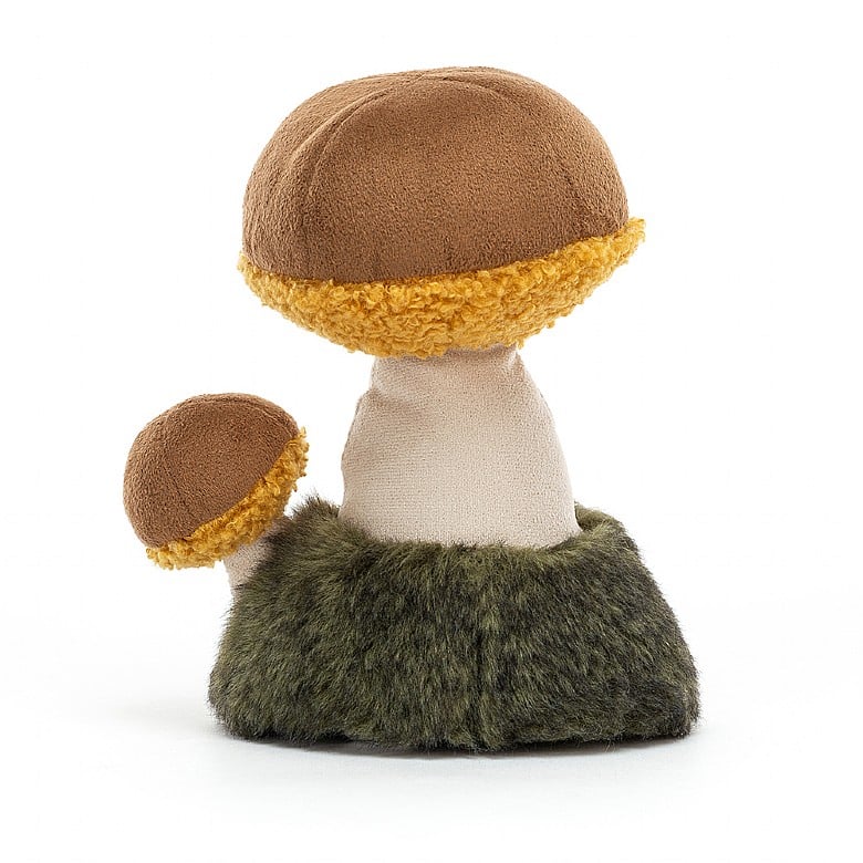WILD NATURE BOLETUS MUSHROOM
