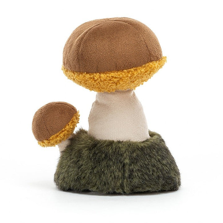 WILD NATURE BOLETUS MUSHROOM