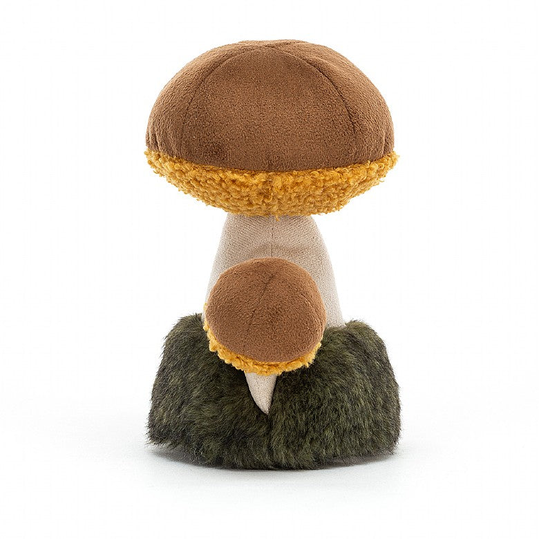 WILD NATURE BOLETUS MUSHROOM