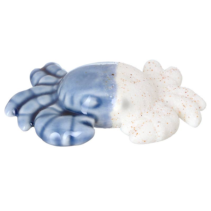 Porcelain Crab