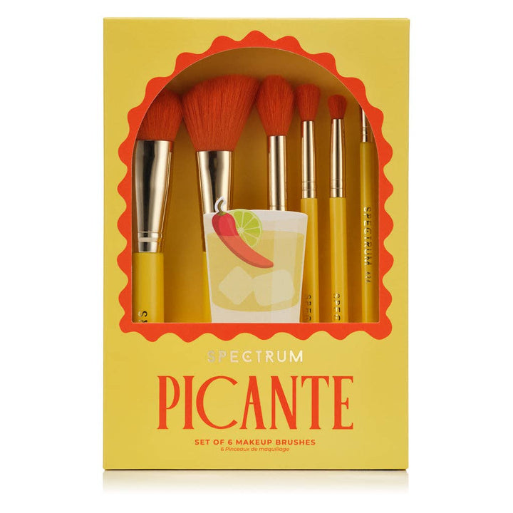 Picante 6 Piece Brush Set