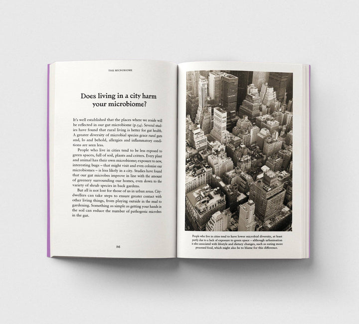 The Gut, A Pocket Primer