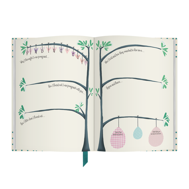 Bump to Birthday Pregnancy Journal | Pregnancy Keepsake Gift