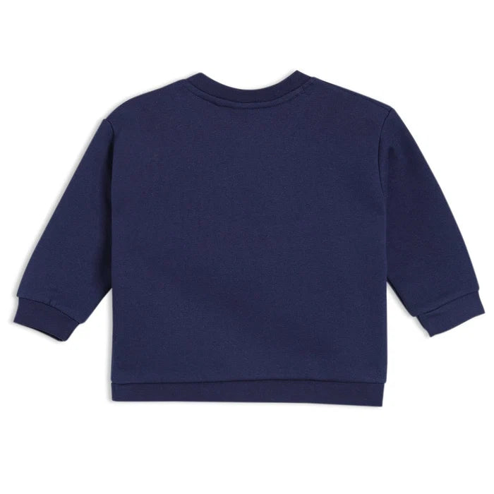 Baby Boys Teddy Bear Embroidered Sweatshirt
