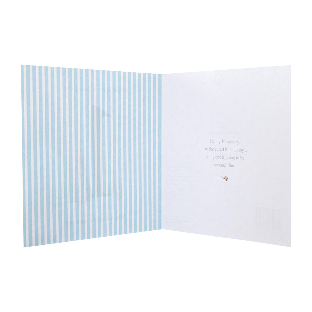 1st Birthday Card - Beatrix Potter's Peter Rabbit Design