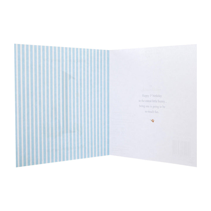 1st Birthday Card - Beatrix Potter's Peter Rabbit Design