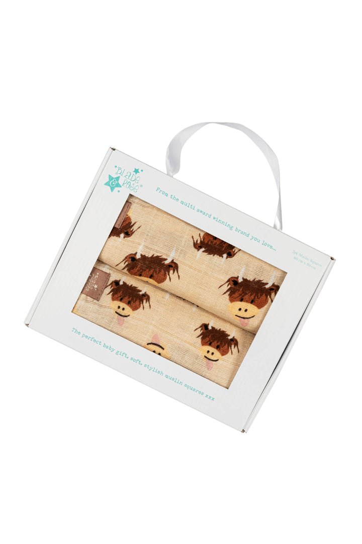 Neutral Highland Cow Summer Collection: 1-2 Years / Tee