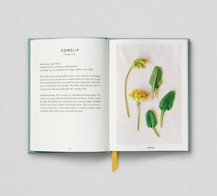 The Urban Forager