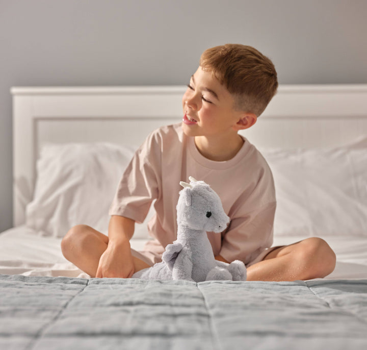 Draco Dragon Cloudy Grey Soft Plush Toy Teddy Bear