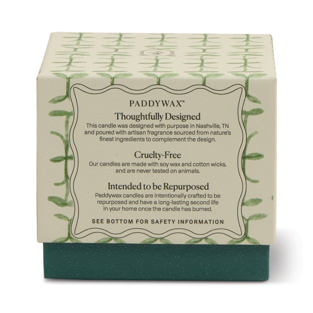 Paddywax Tulip Glass Candle - Verbena & Lemongrass