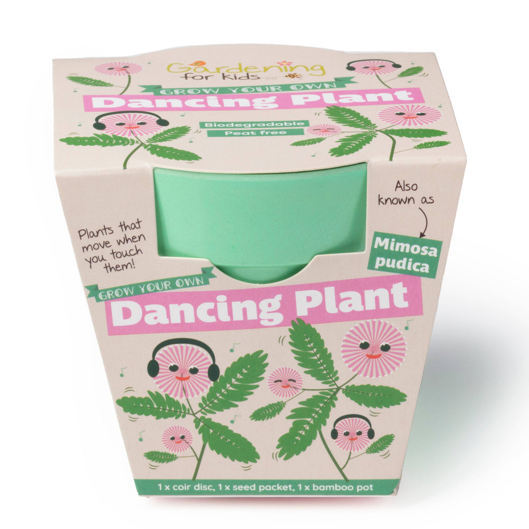 Grow Something Different Children's Growing Kit Mixed Set