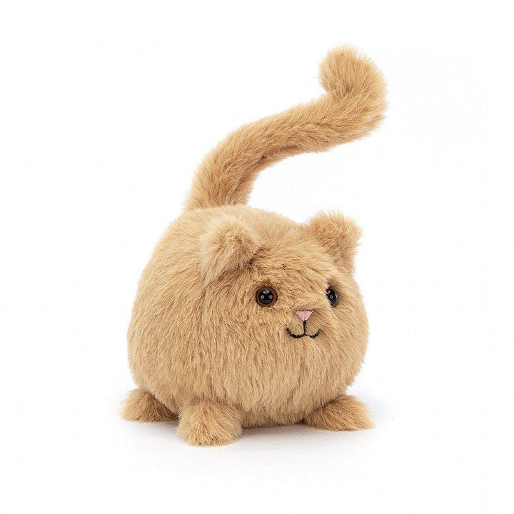 GINGER KITTEN CABOODLE