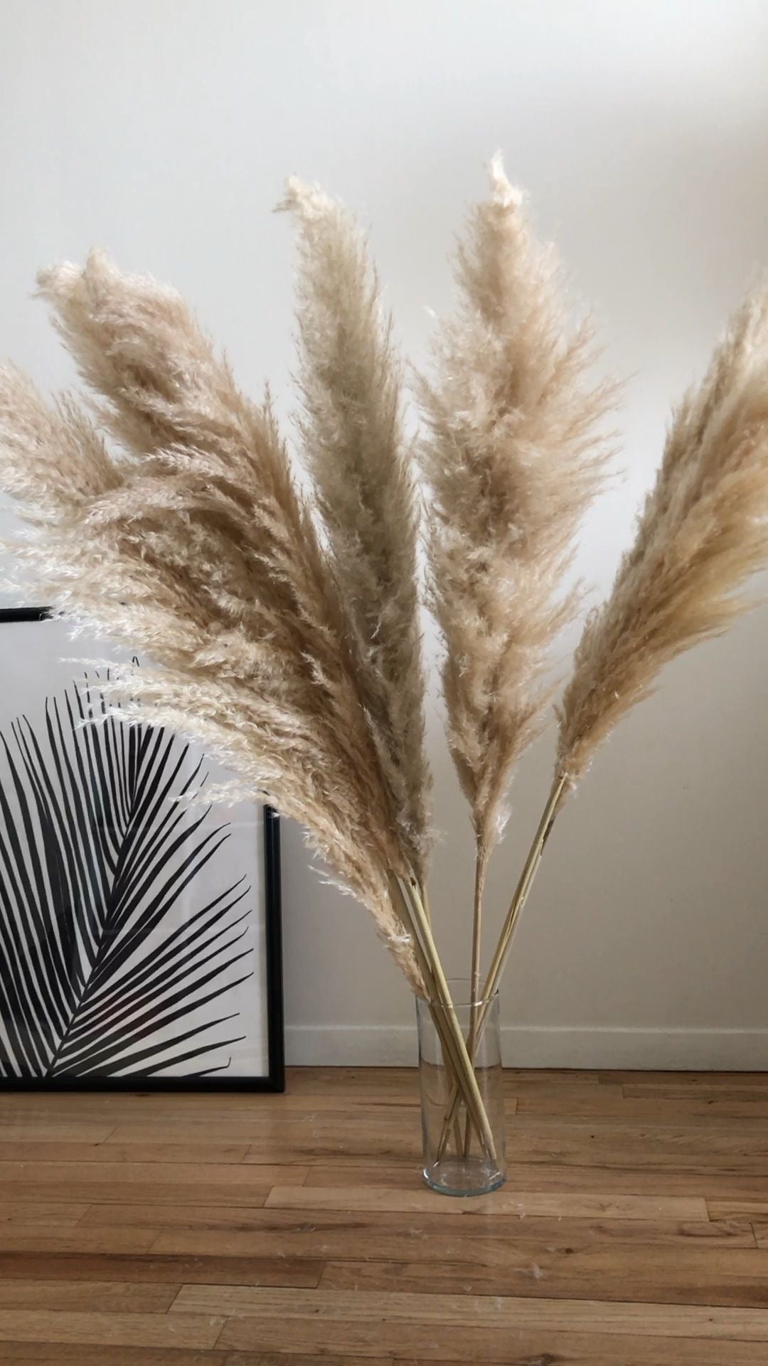 BUTTER PAMPAS STEM