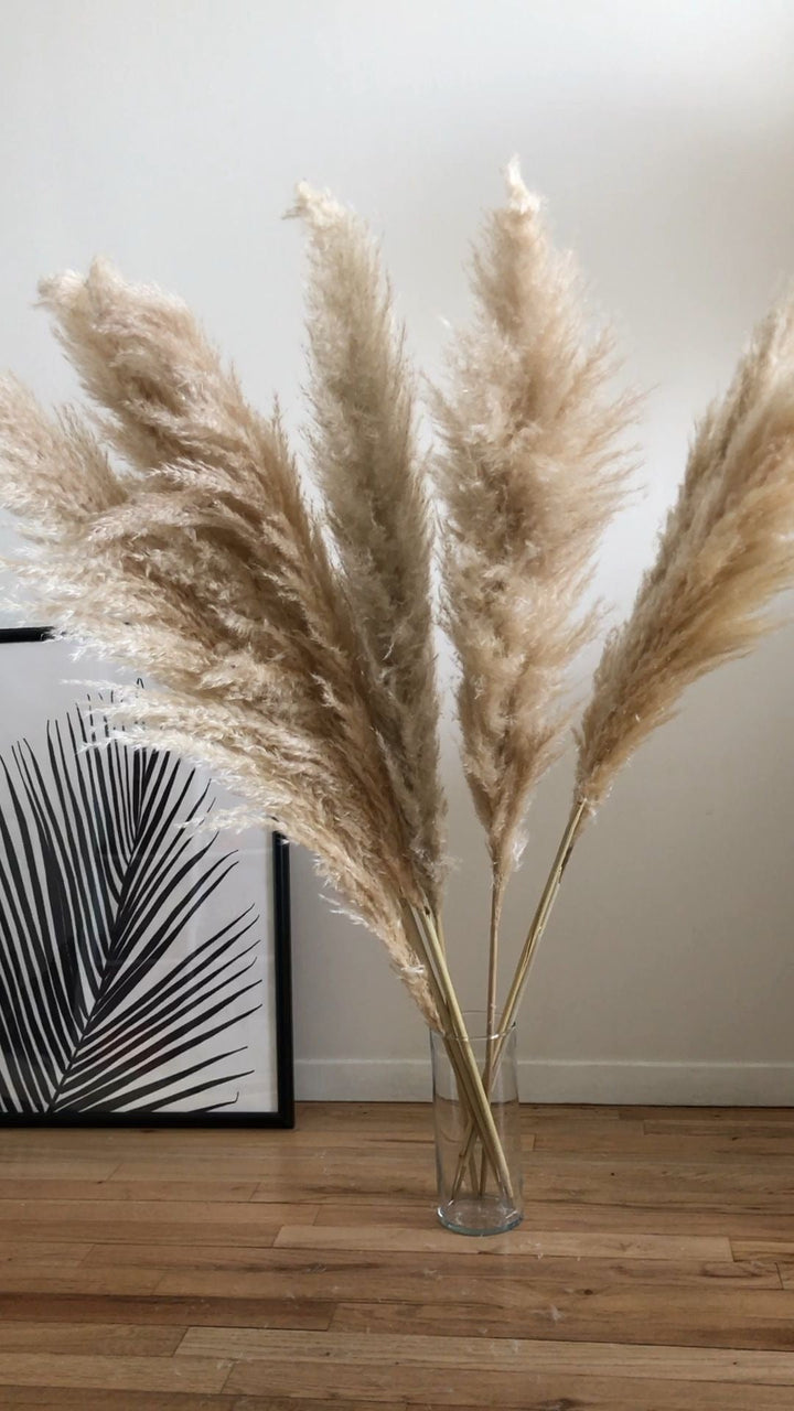 BUTTER PAMPAS STEM