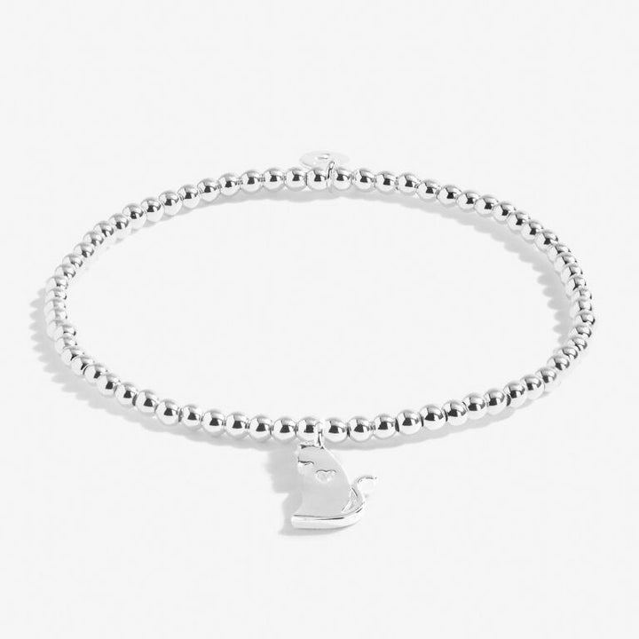 A LITTLE LIFE IS BETTER WITH CATS BRACELET