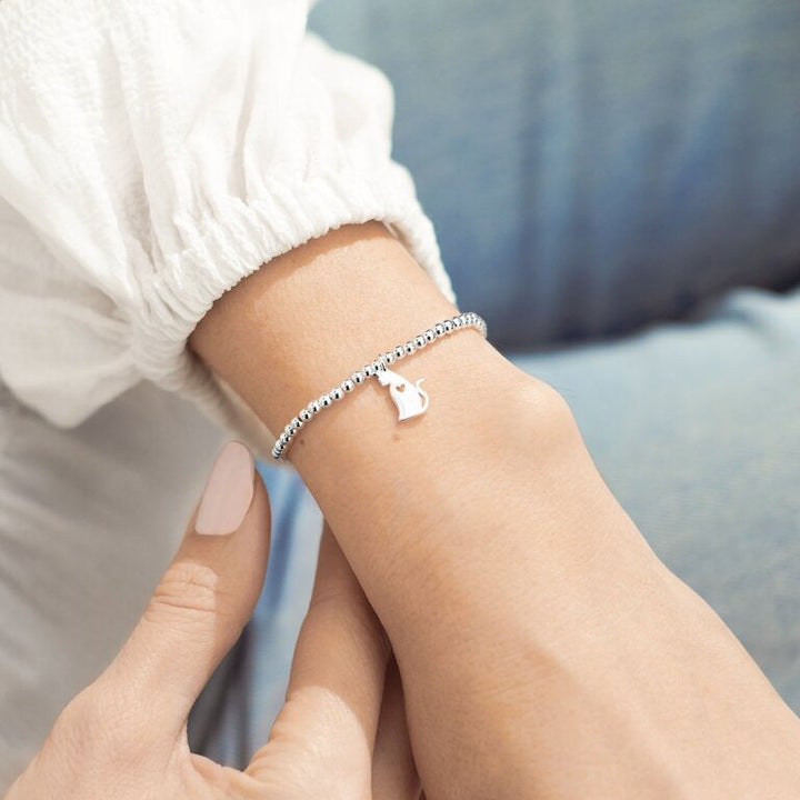 A LITTLE LIFE IS BETTER WITH CATS BRACELET