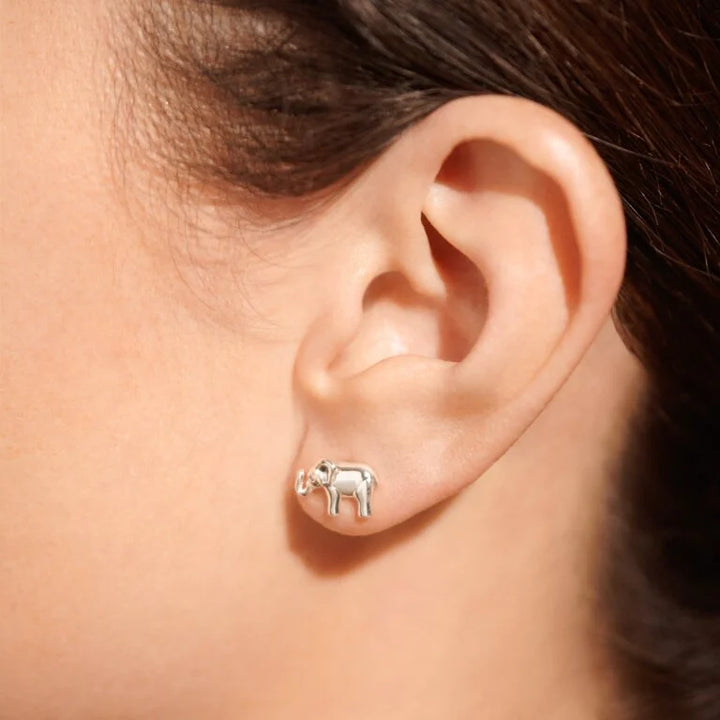 BOXED LUCKY ELEPHANT EARRINGS