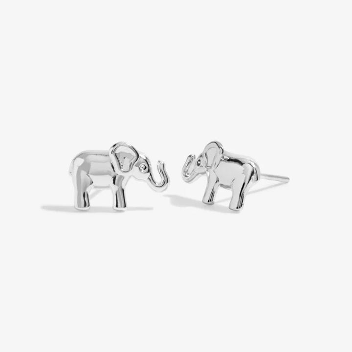 BOXED LUCKY ELEPHANT EARRINGS