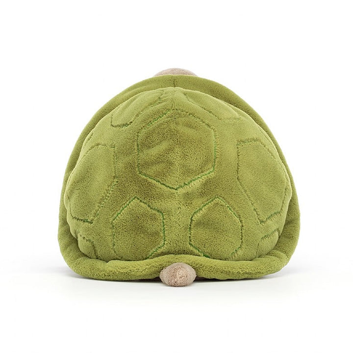 TIMMY TURTLE