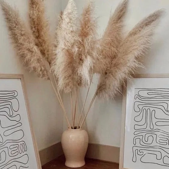 CREAM PAMPAS STEM