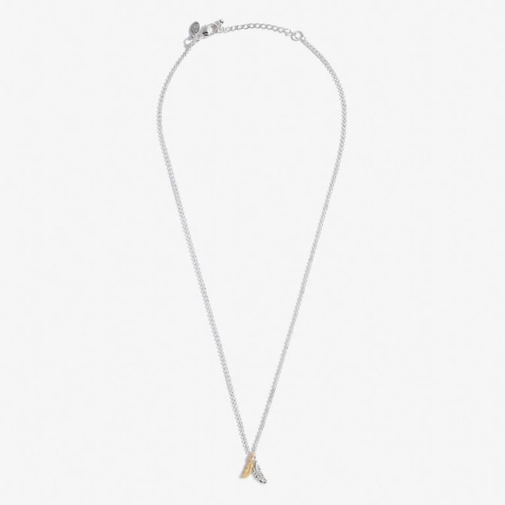 A LITTLE 'FEATHERS APPEAR WHEN LOVED ONES ARE NEAR' NECKLACE