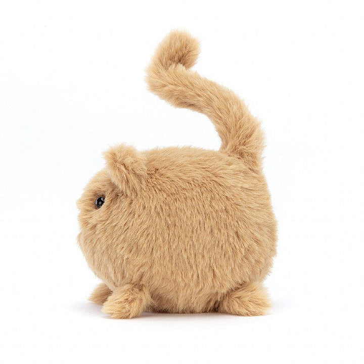 GINGER KITTEN CABOODLE