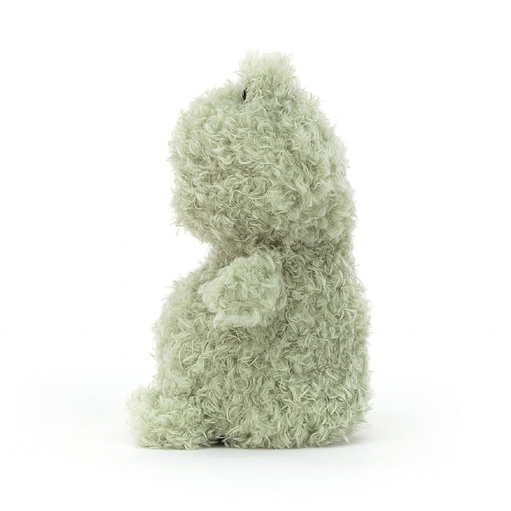 LITTLE FROG