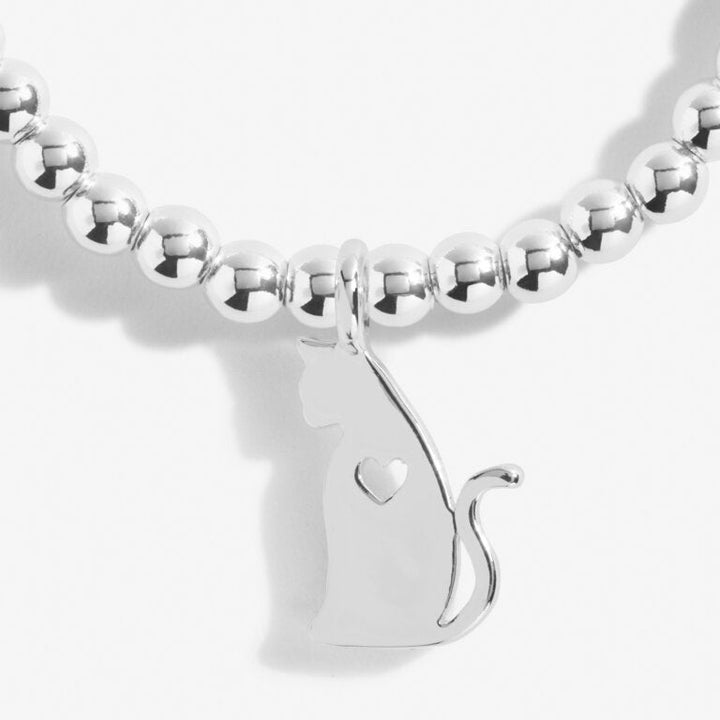 A LITTLE LIFE IS BETTER WITH CATS BRACELET