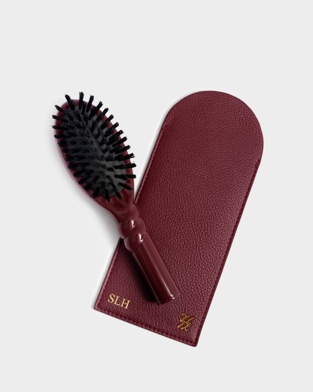Hairbrush & Case Set