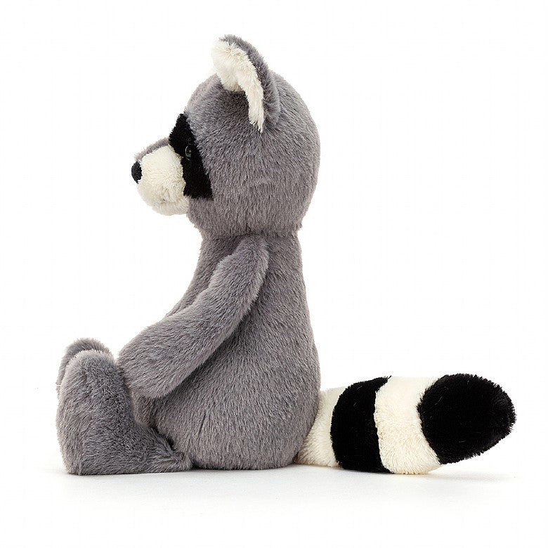 BASHFUL MEDIUM RACCOON