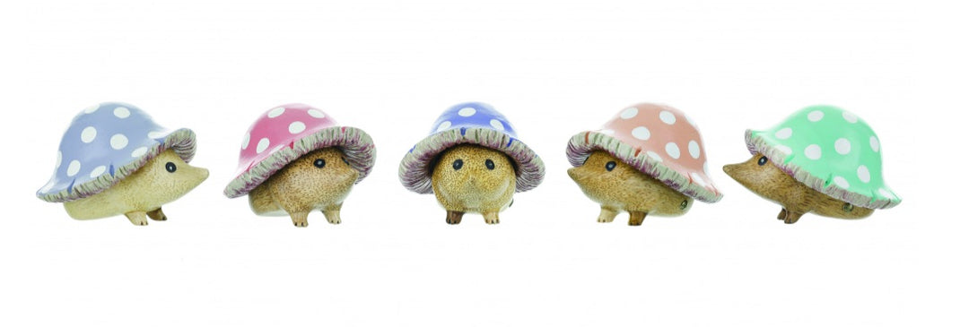 TOADSTOOL HEDGY