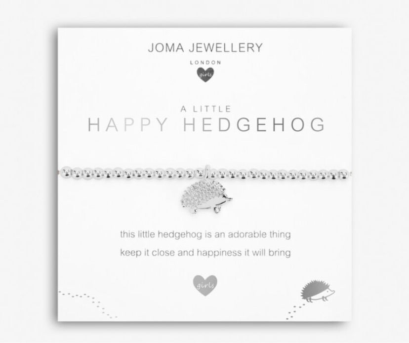 CHILDREN'S A LITTLE 'HAPPY HEDGEHOG'