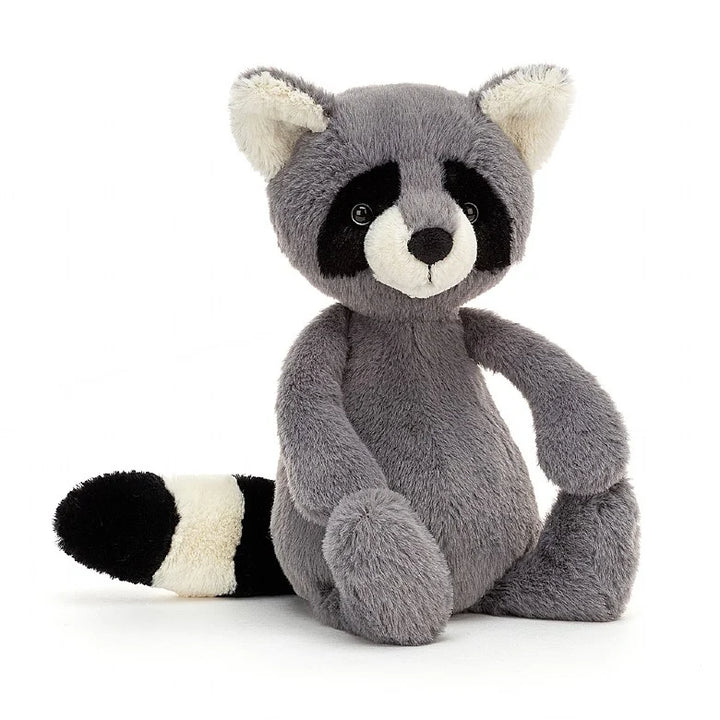 BASHFUL MEDIUM RACCOON