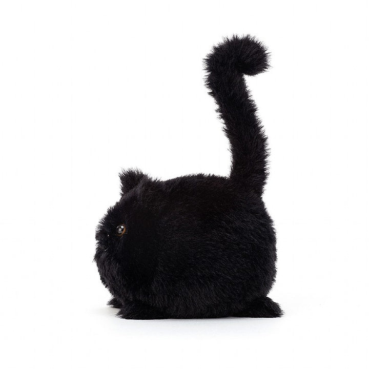 KITTEN CABOODLE BLACK