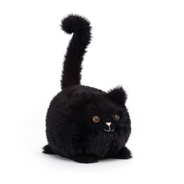 KITTEN CABOODLE BLACK